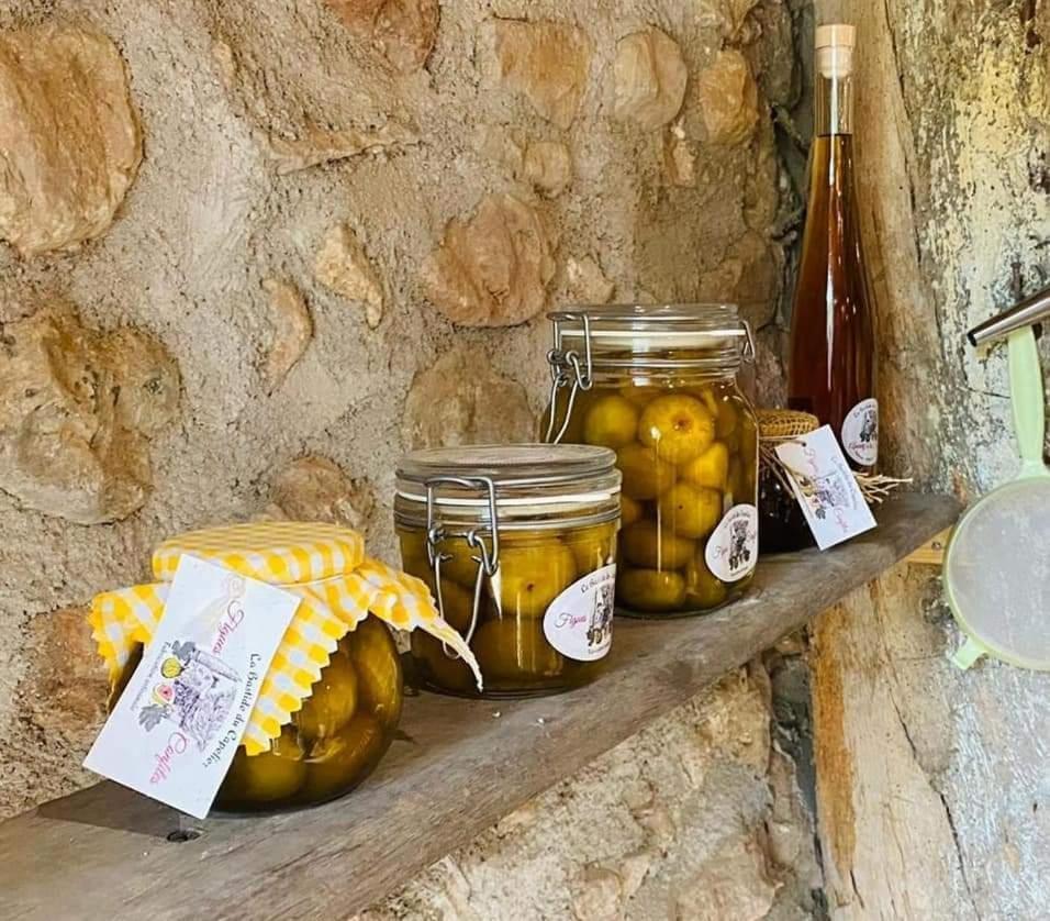 La Bastide Du Capelier - Chambres D'Hotes Avec Baignoire Balneotherapie - 3 Etoiles Salernes Εξωτερικό φωτογραφία